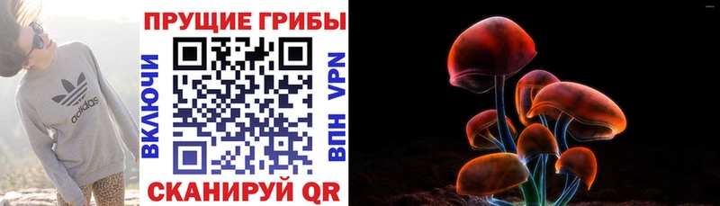 Псилоцибиновые грибы GOLDEN TEACHER  что такое наркотик  Ленинск 